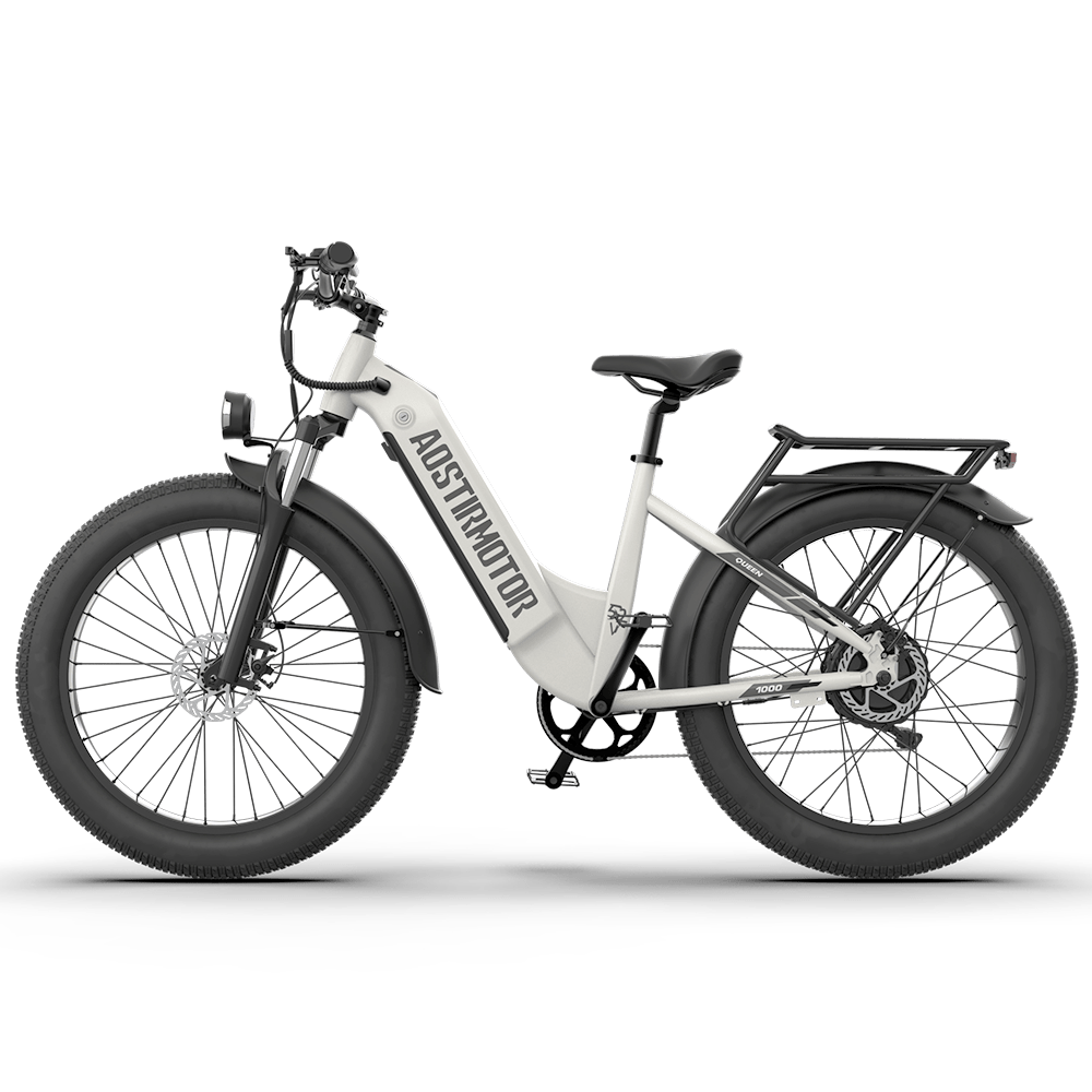 Aostirmotor Queen 52V All-terrain Electric Bike