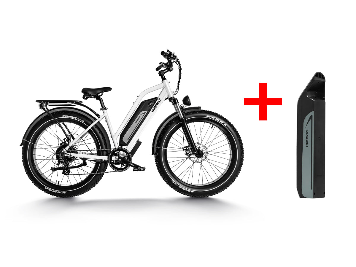 Himiway D3 ST (Cruiser ST) 48V 750W 20 MPH All Terrain Step Thru Electric Bike