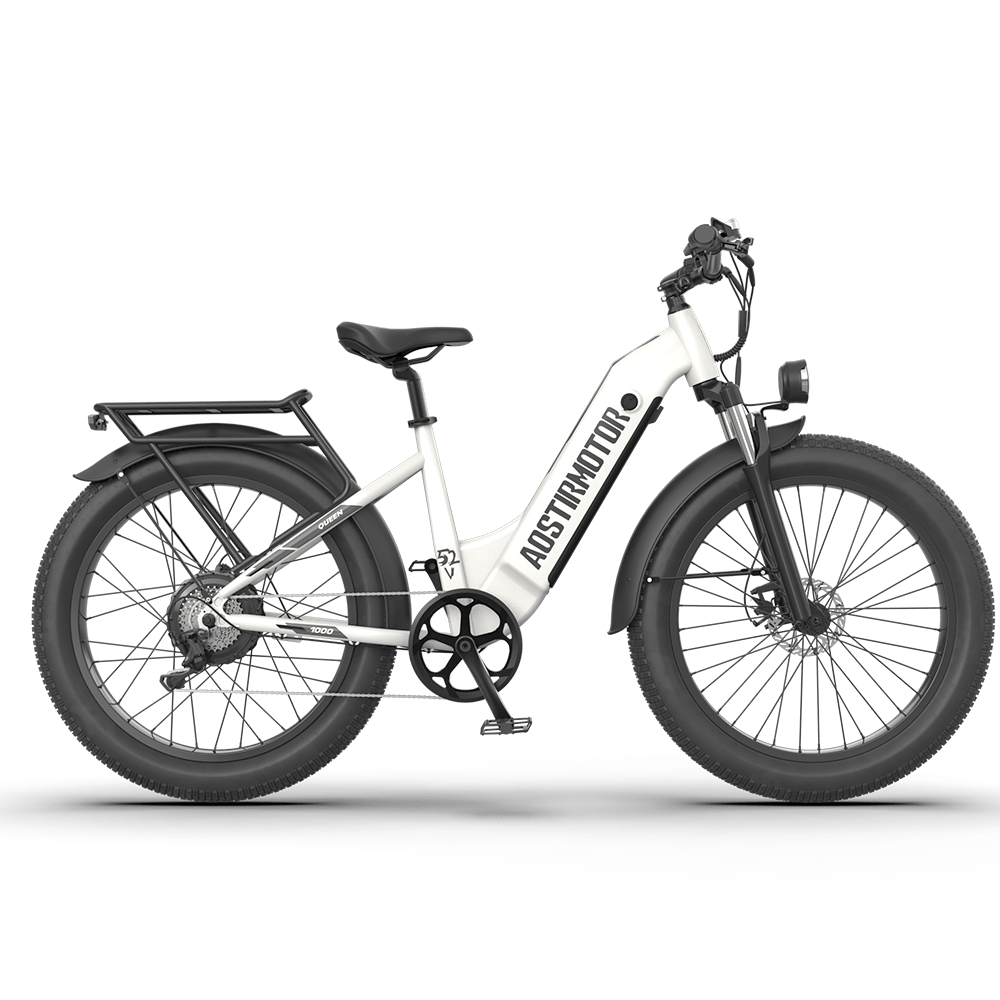 Aostirmotor Queen 52V All-terrain Electric Bike