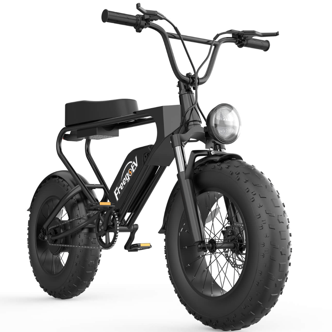 Freego DK200 Off Road Mountain Electric Bike 20'' Fat tires 1200W Powerful Motor 20Ah Lithium Battery