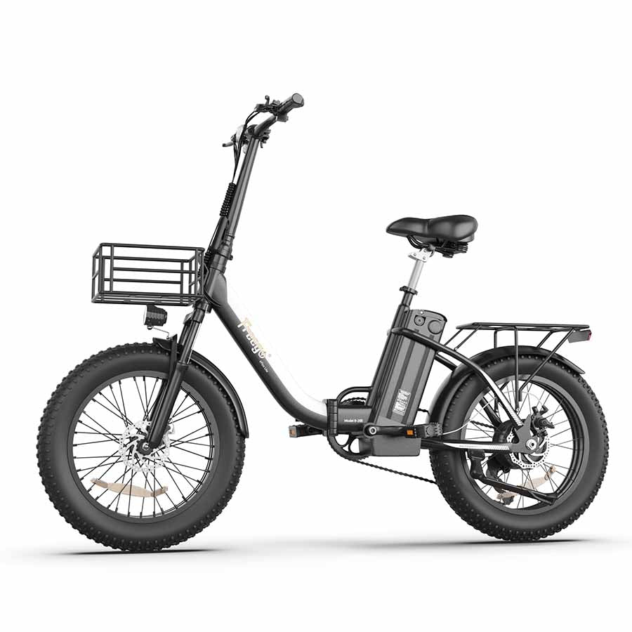 Freego eFlex Lite B-20B Foldable 500W Powerful Motor Electric Bike