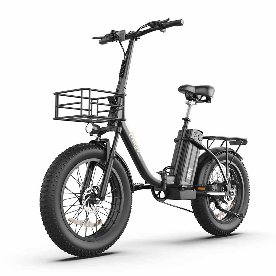 Freego eFlex Lite B-20B Foldable 500W Powerful Motor Electric Bike