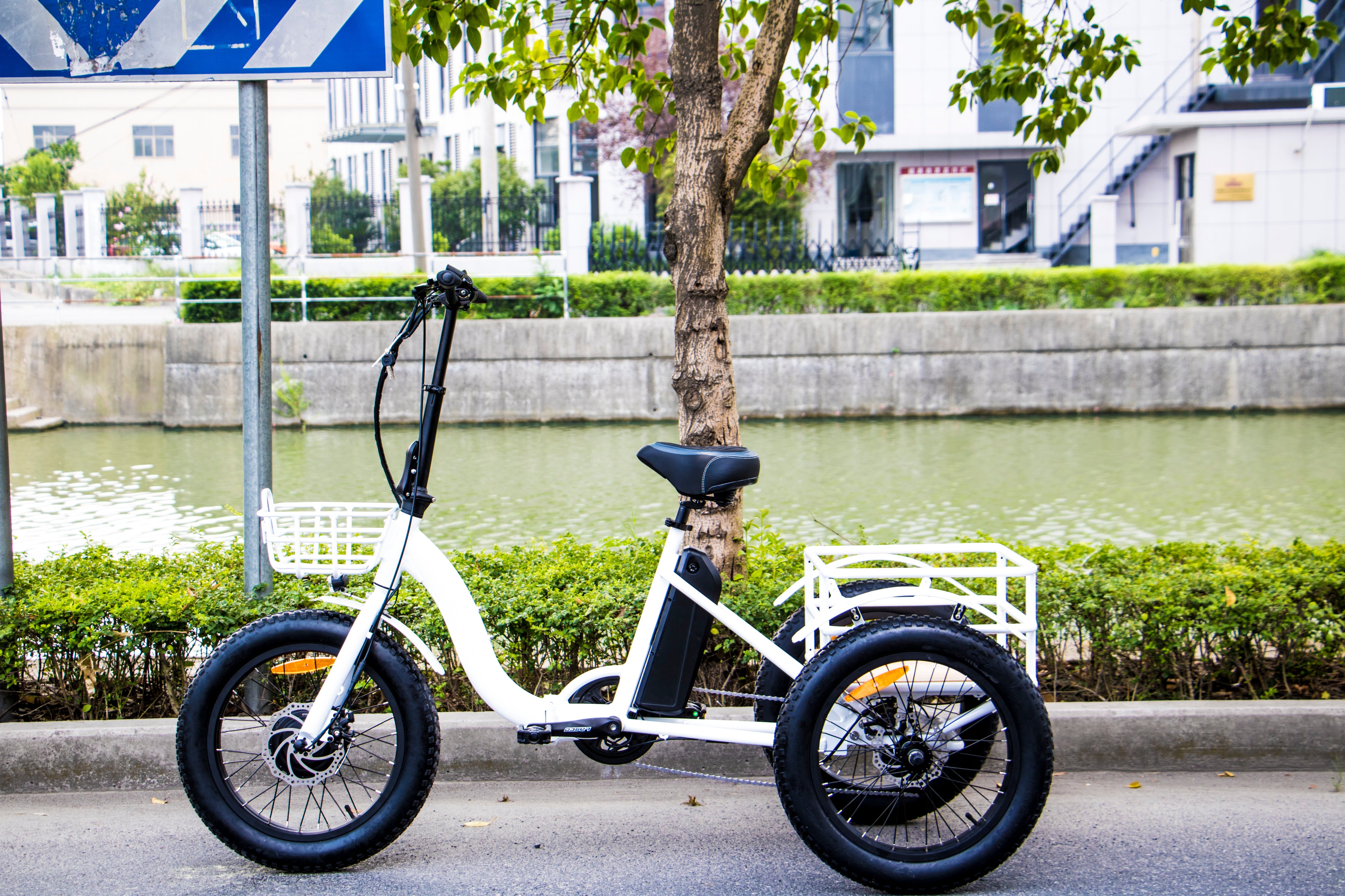 Eunorau New-Trike Electric Bike