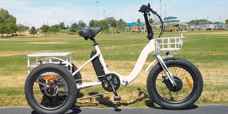 Eunorau New-Trike Electric Bike