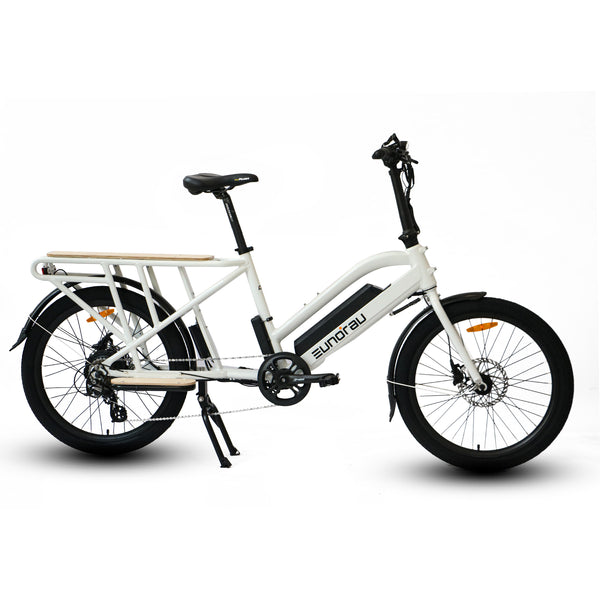 Eunorau Max-Cargo Electric Bike