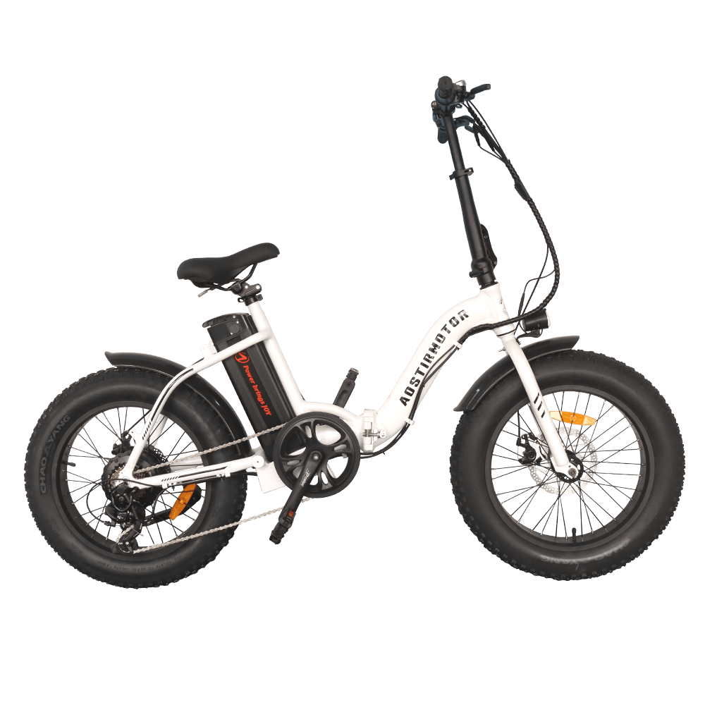 Aostirmotor G20 500W Low Step Fat Tire Electric Bike