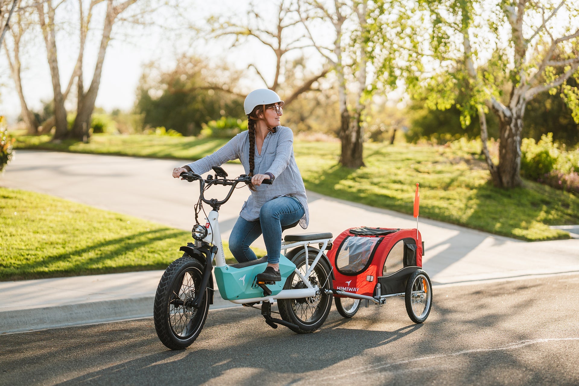 Himiway C3 Cargo Electric Bike