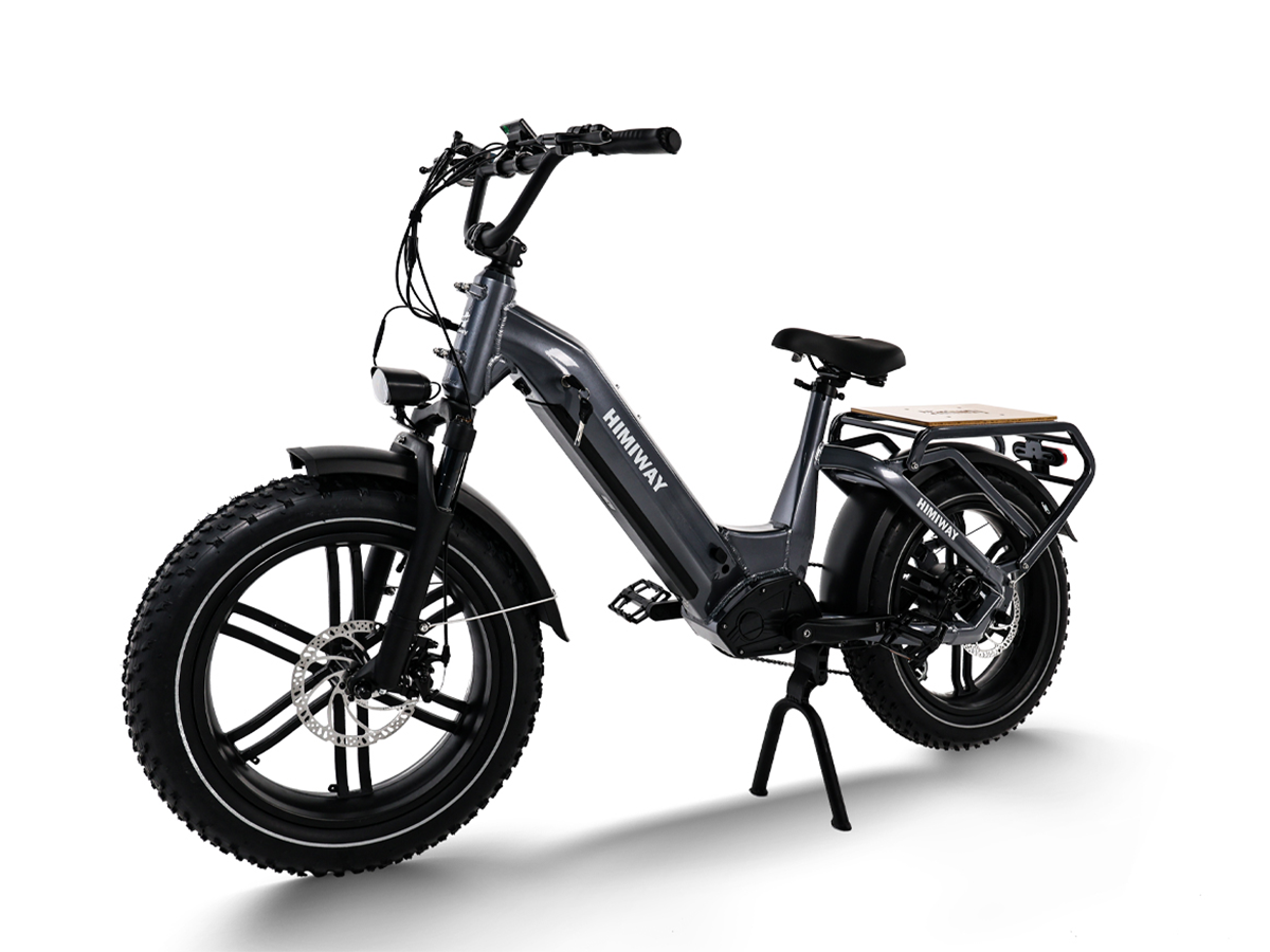 Himiway Big Dog 48V 750W 20 MPH Electric Cargo Bike