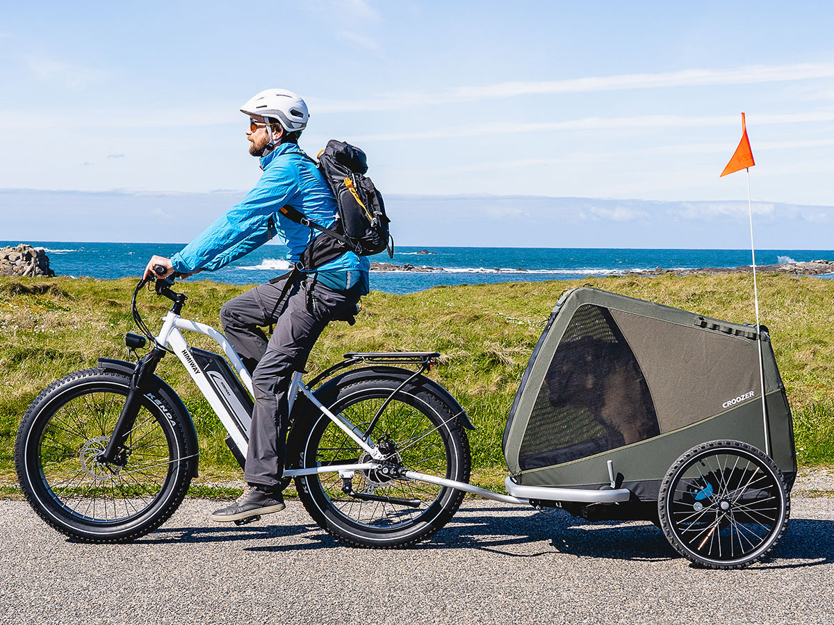 Himiway D3 ST (Cruiser ST) 48V 750W 20 MPH All Terrain Step Thru Electric Bike