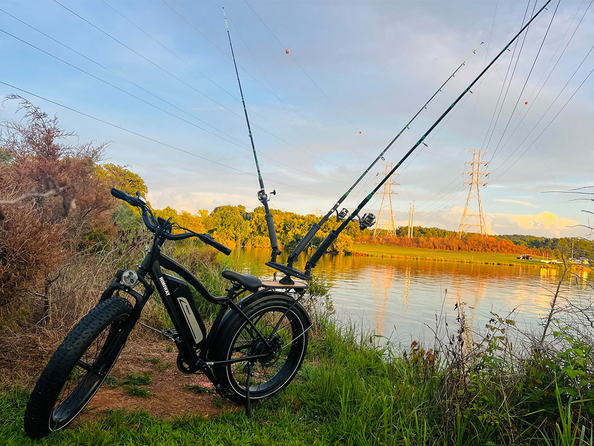 Himiway D3 (Cruiser) 48V 750W 20 MPH Long Range Fat Tire Electric Bike