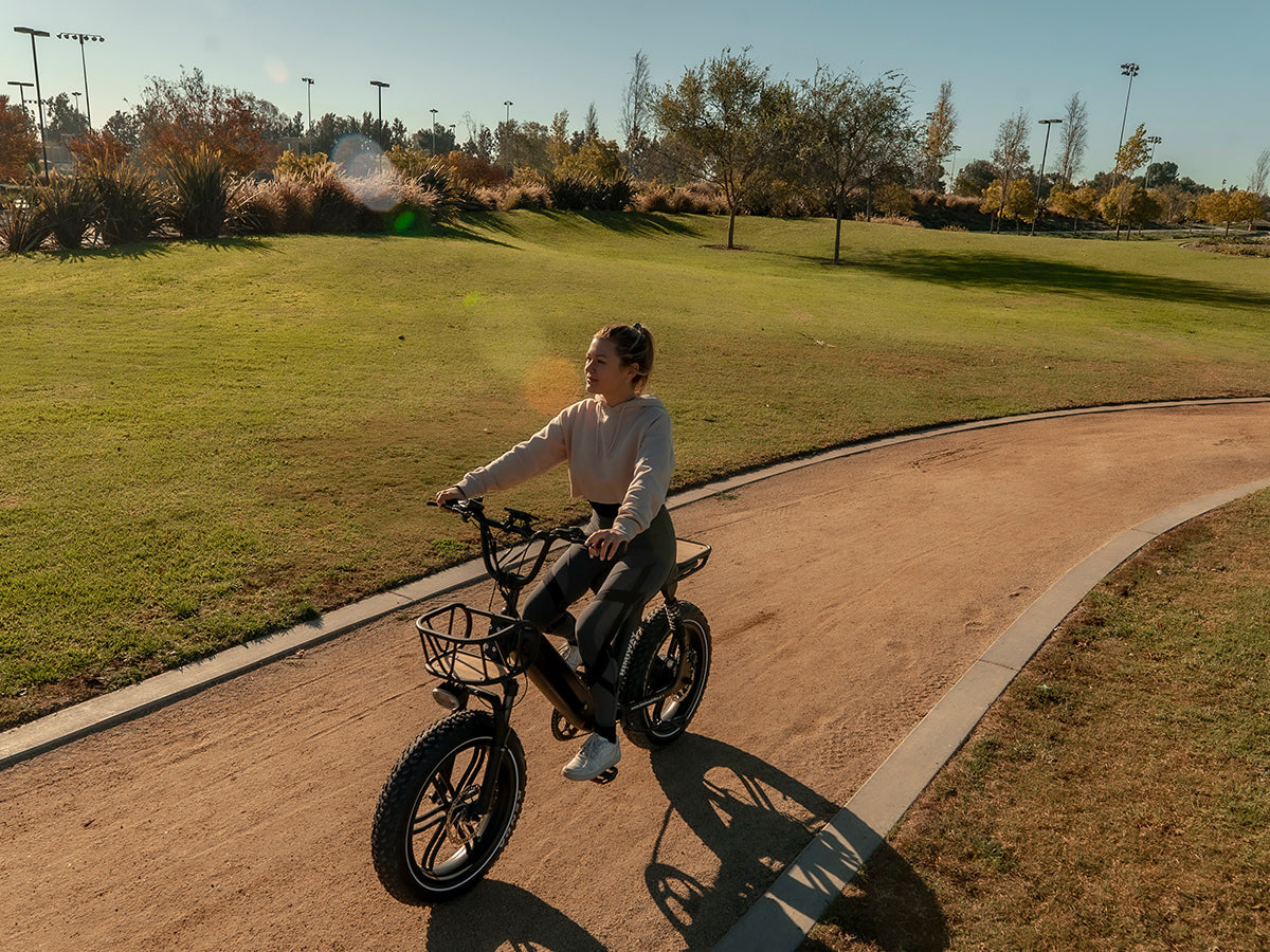 Himiway Escape Pro 48V 750W 20 MPH Moped-Style Long Range Electric Bike