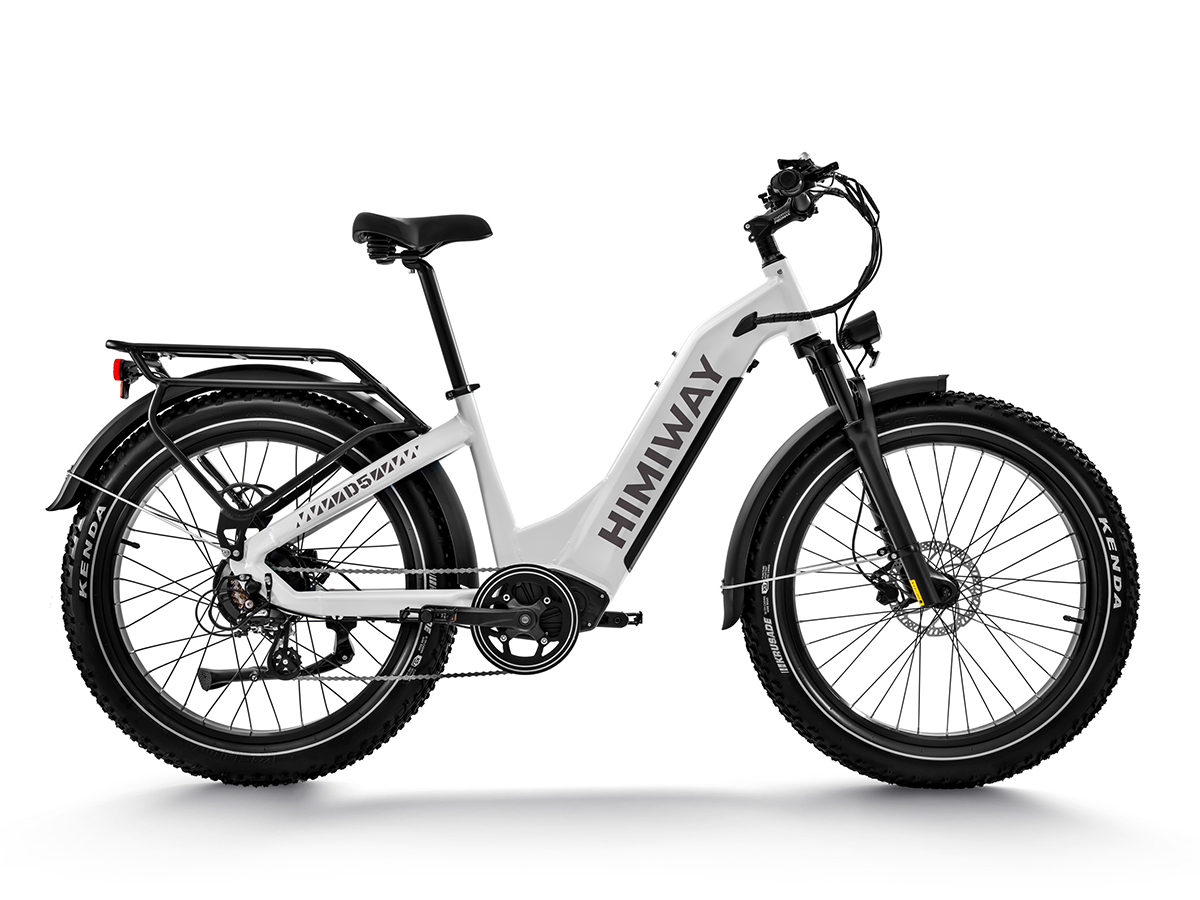 Himiway D5 ST (Zebra ST) 48V 750W 20 MPH Premium Step Thru All Terrain Fat Tire Electric Bike