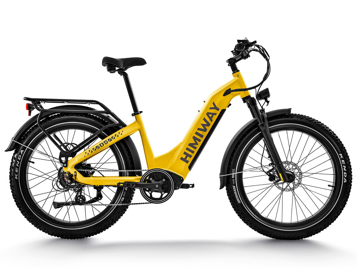 Himiway D5 ST (Zebra ST) 48V 750W 20 MPH Premium Step Thru All Terrain Fat Tire Electric Bike